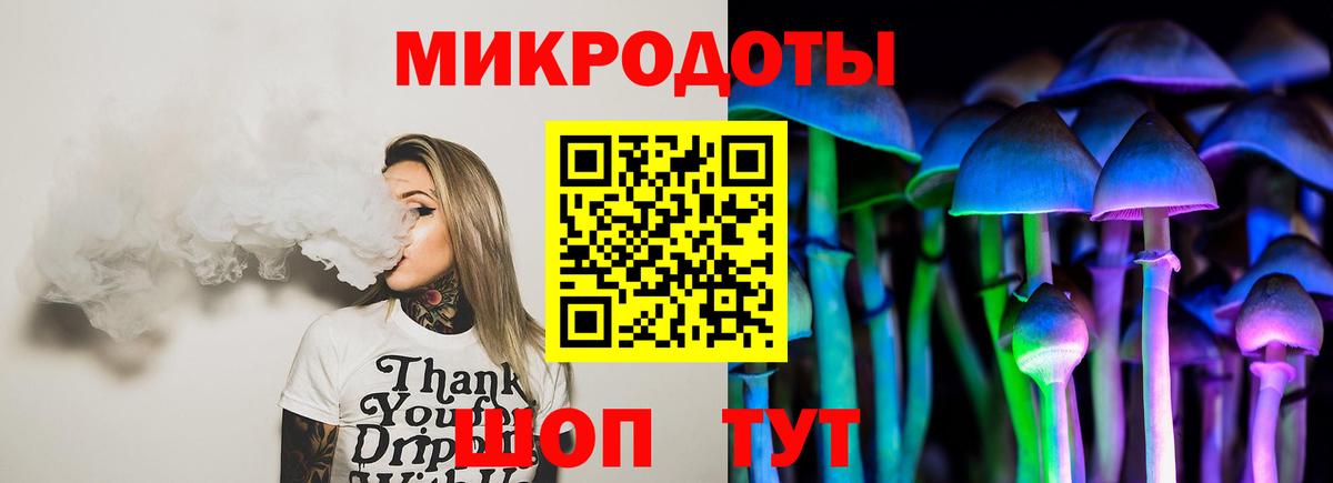 Галлюциногенные грибы Psilocybe Бугульма
